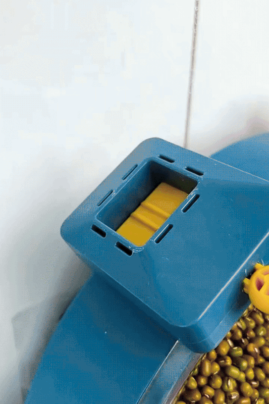 Food Storage Container – Airtight Grain & Cereal Organizer